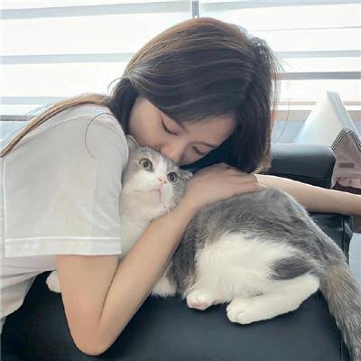 屋顶上的猫